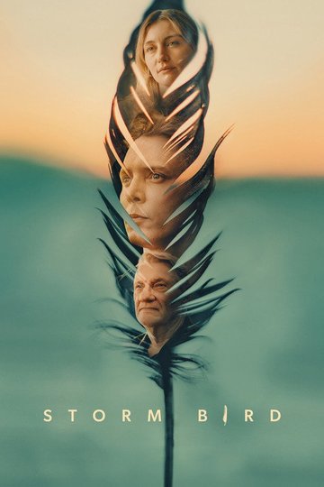 Locandina di Storm Bird
