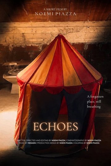 Locandina di Echoes