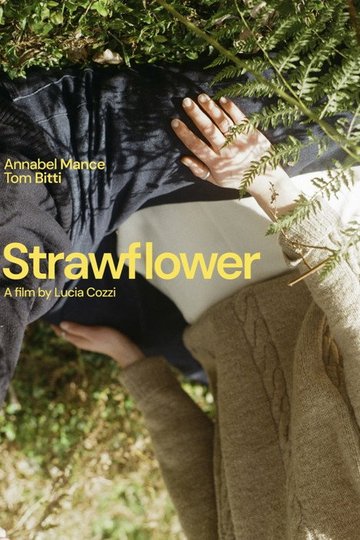 Locandina di Strawflower