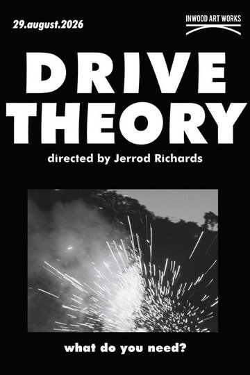 Locandina di DRIVE THEORY