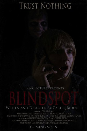 Locandina di BLINDSPOT