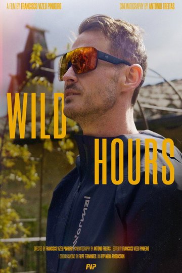 Locandina di Wild Hours