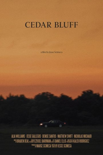 Locandina di Cedar Bluff