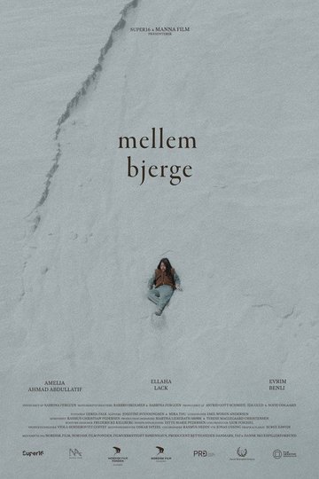 Locandina di Mellem Bjerge
