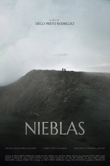 Locandina di Nieblas