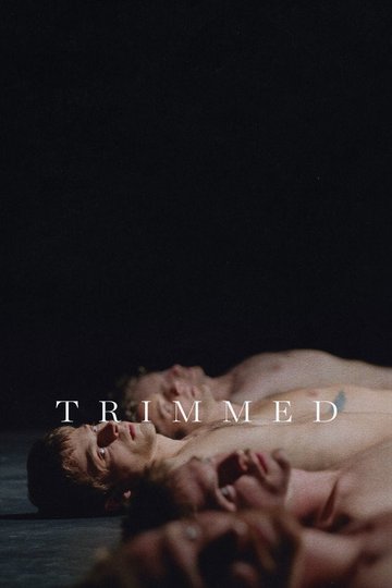 Locandina di Trimmed