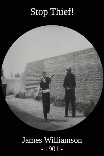 Locandina di Stop Thief!
