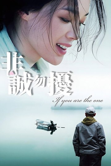 Locandina di 非诚勿扰