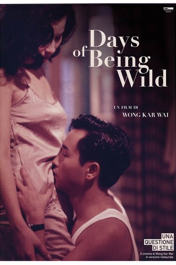 Locandina di Days of Being Wild