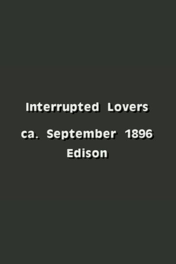 Locandina di Interrupted Lovers