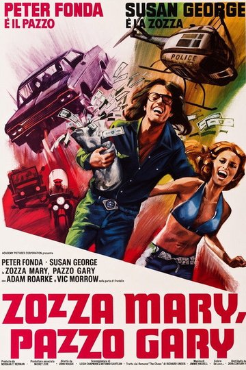 Locandina di Zozza Mary, pazzo Gary