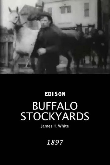 Locandina di Buffalo Stockyards
