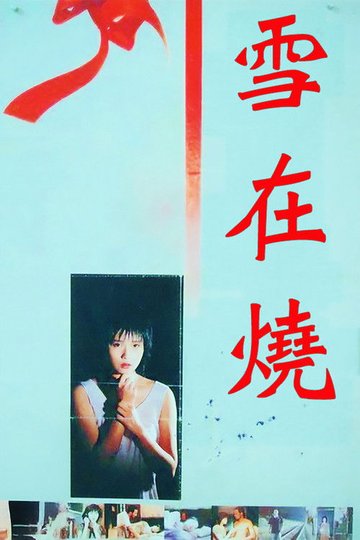 Locandina di 雪在燒