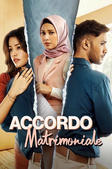 Locandina di Accordo Matrimoniale