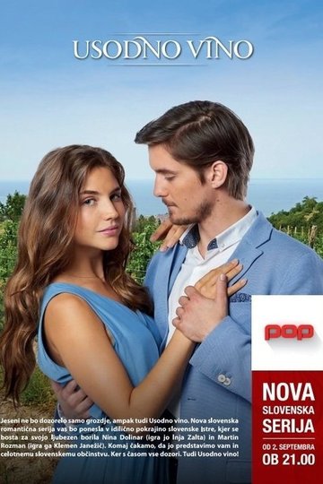 Locandina di Usodno vino