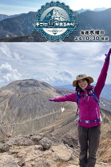 Locandina di そこに山があるから