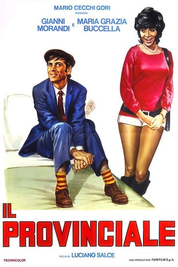 Locandina di Il provinciale