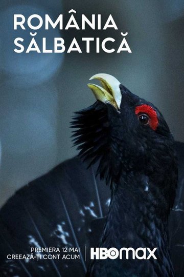 Locandina di România Sălbatică