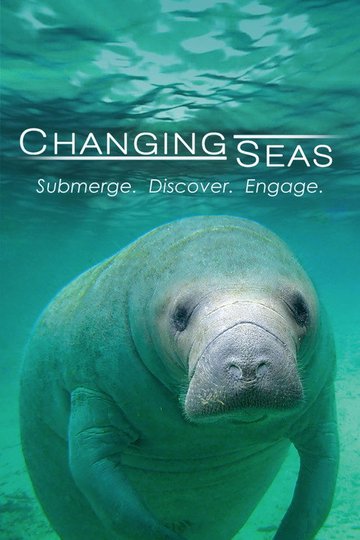 Locandina di Changing Seas