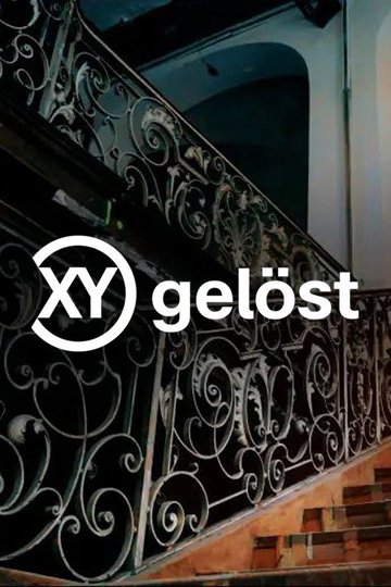 Locandina di XY gelöst