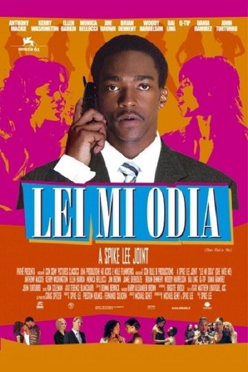 Locandina di Lei mi odia