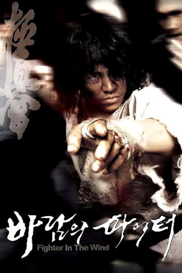 Locandina di 바람의 파이터