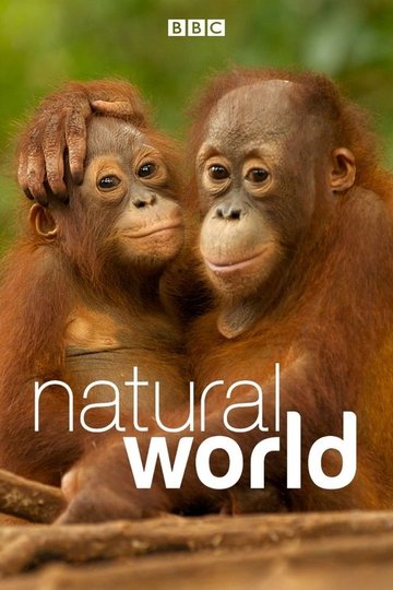 Locandina di Natural World