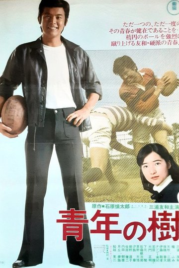 Locandina di 青年の樹