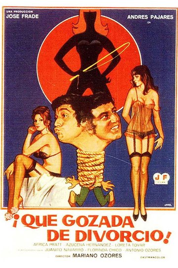 Locandina di ¡Qué gozada de divorcio!