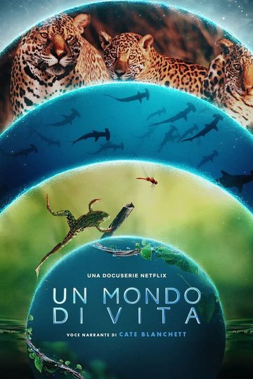 Locandina di Un mondo di vita