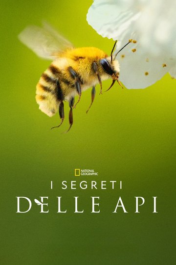Locandina di I segreti delle api