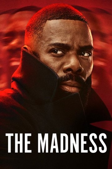 Locandina di The Madness
