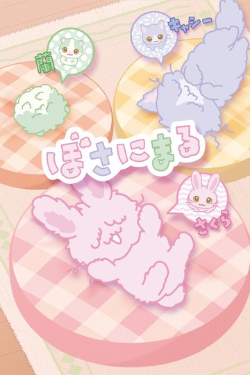 Locandina di ぼさにまる