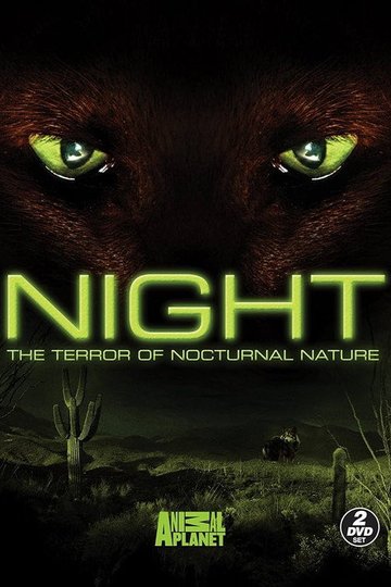 Locandina di Night