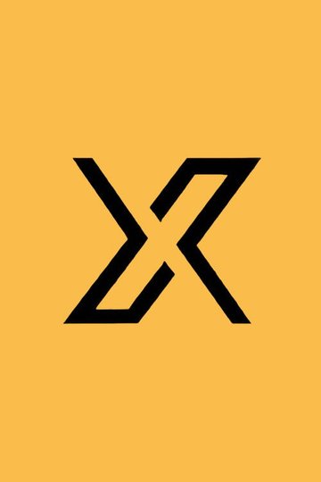 Locandina di X调查