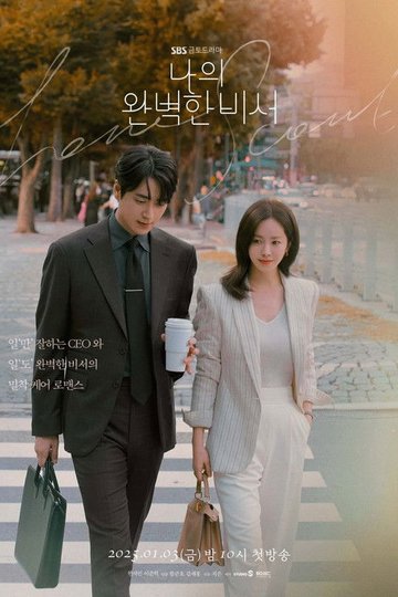 Locandina di 나의 완벽한 비서