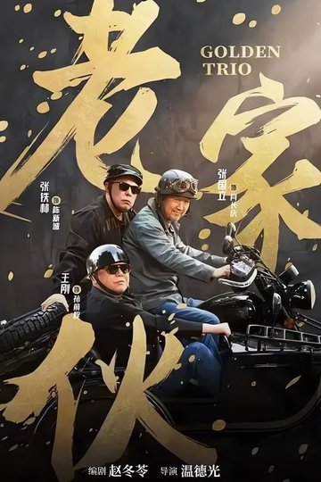 Locandina di 老家伙