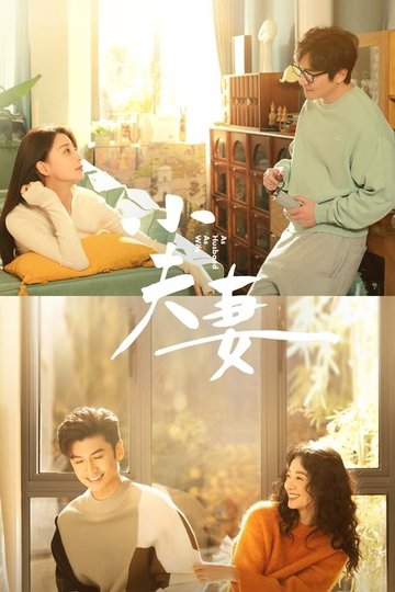 Locandina di 小夫妻