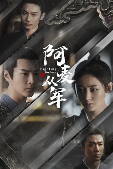 Locandina di 阿麦从军