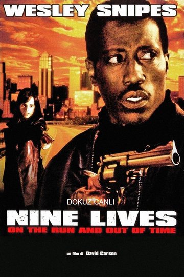 Locandina di Nine Lives