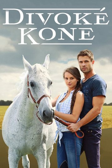 Locandina di Divoké kone
