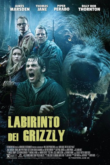 Locandina di Labirinto dei Grizzly