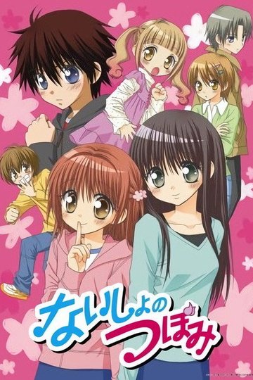 Locandina di ないしょのつぼみ