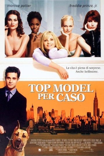 Locandina di Top model per caso