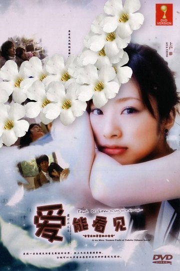 Locandina di 愛はみえる～全盲夫婦に宿った小さな命