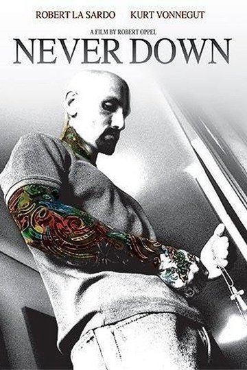 Locandina di Never Down