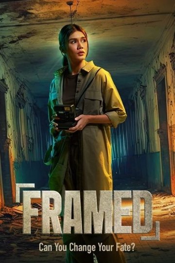 Locandina di Framed