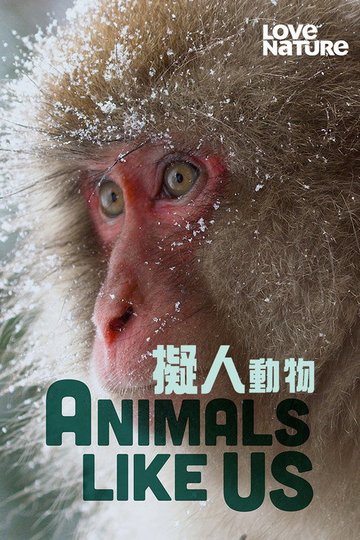 Locandina di Animals Like Us