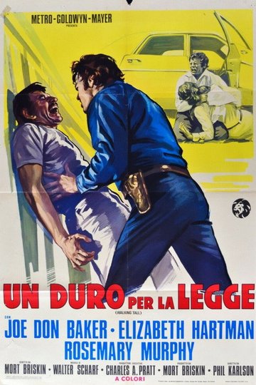 Locandina di Un duro per la legge