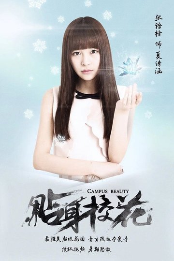 Locandina di 贴身校花